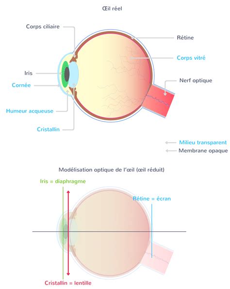 Optique et Vision .